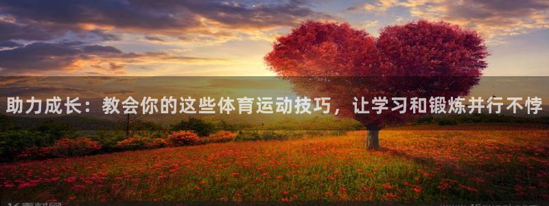 球速体育