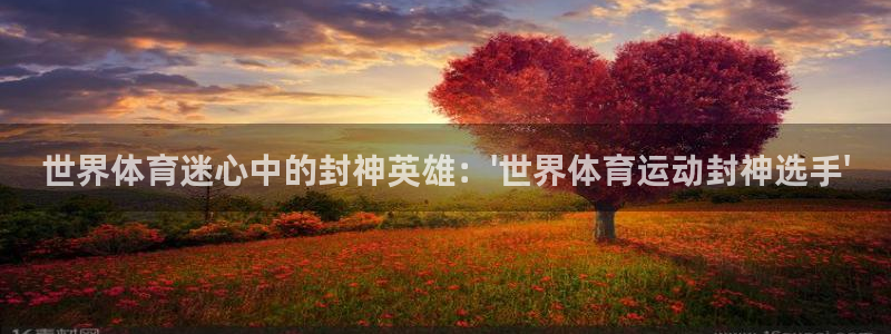 球速体育