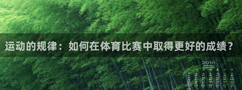 球速体育