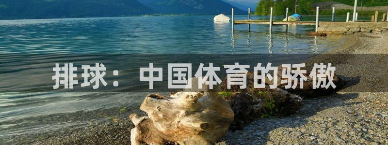 球速体育：排球：中国体育的骄傲