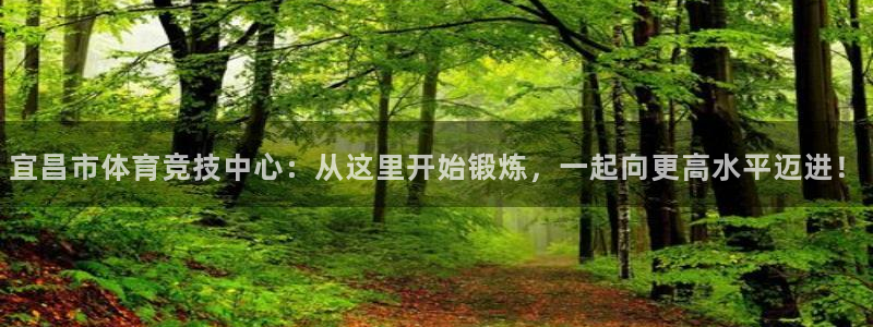 球速体育