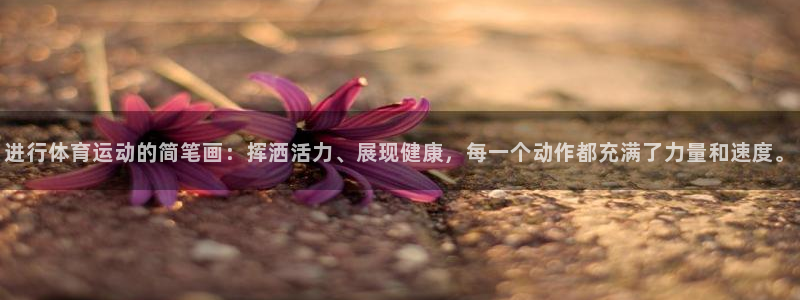 球速体育