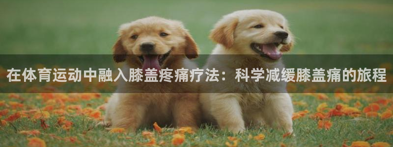 球速体育：在体育运动中融入膝盖疼痛疗法：科学减缓膝盖痛的旅程