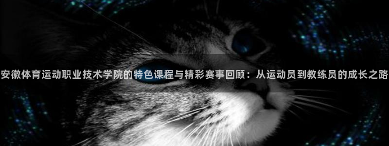球速体育