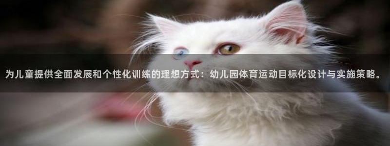 球速体育