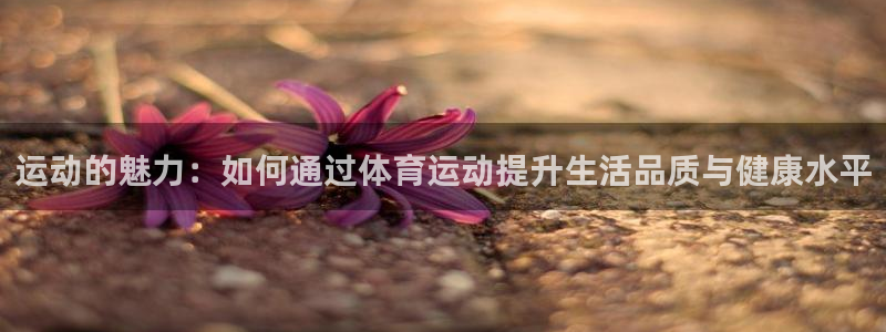 球速体育