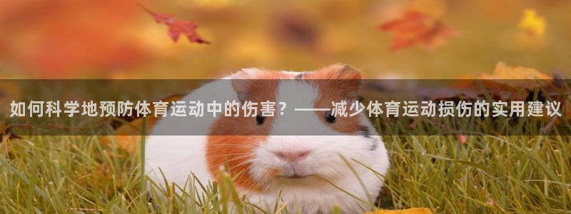 球速体育