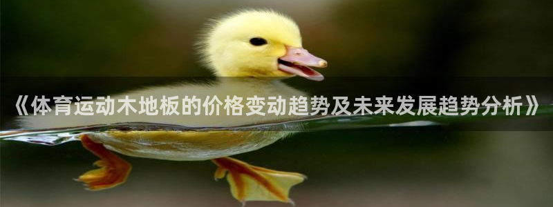 球速体育：《体育运动木地板的价格变动趋势及未来发展趋势分析》